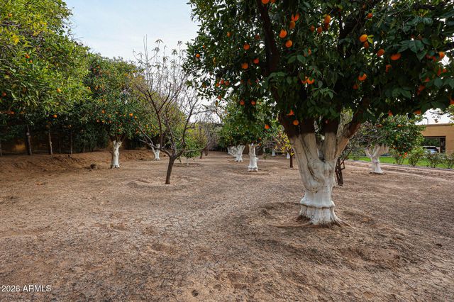 2005 N POMELO --, Mesa, AZ 85215