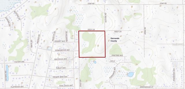 11488 SEELY LANE, Brooksville, FL 34613