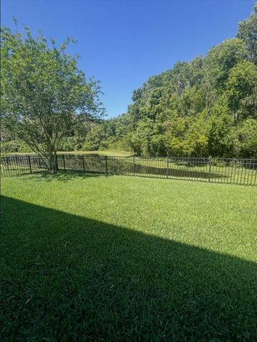 1695 LUDINGTON AVENUE, Wesley Chapel, FL 33543