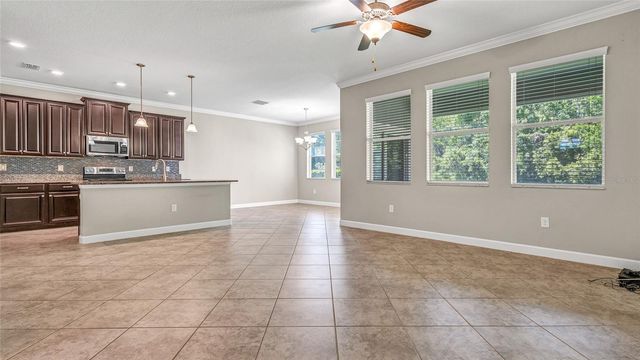 1695 LUDINGTON AVENUE, Wesley Chapel, FL 33543