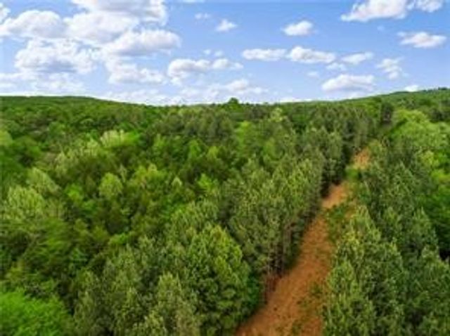 Tuttle Road, Goshen, AR 72735