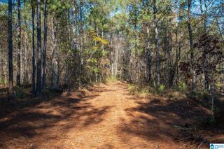 0 COUNTY ROAD 632, Roanoke, AL 36274