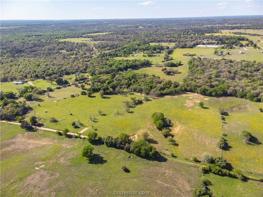 24 Acres Fm 1362/CR 371, Caldwell, TX 77836 — photo 5