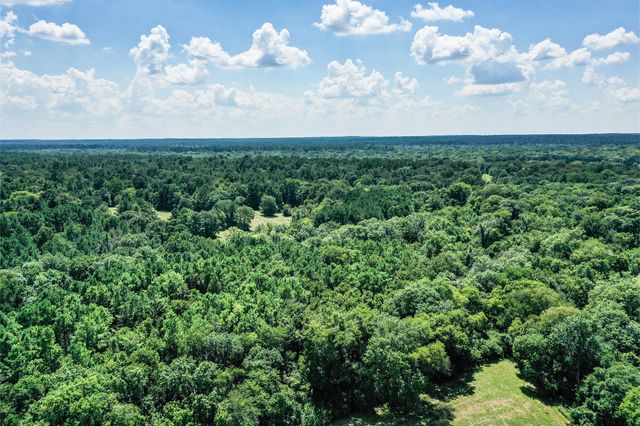 198 Ac Fm 1374, Huntsville, TX 77340