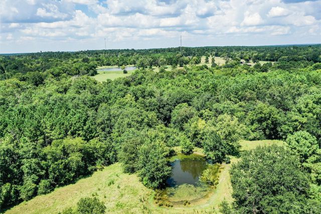 198 Ac Fm 1374, Huntsville, TX 77340