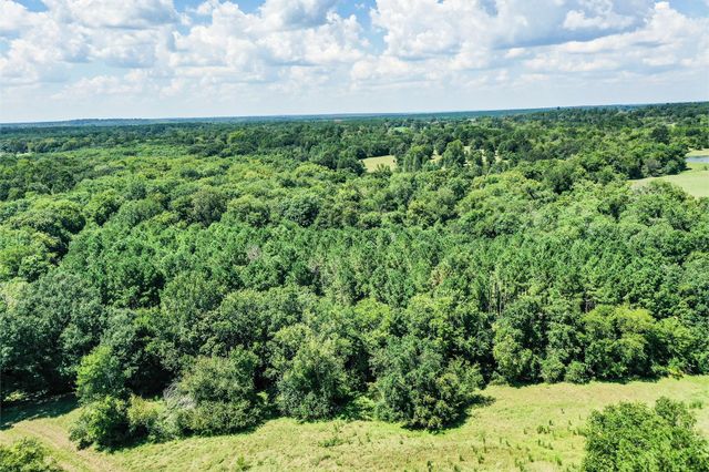 198 Ac Fm 1374, Huntsville, TX 77340