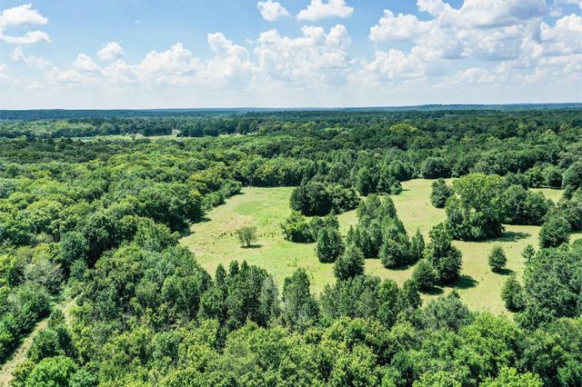 198 Ac Fm 1374, Huntsville, TX 77340