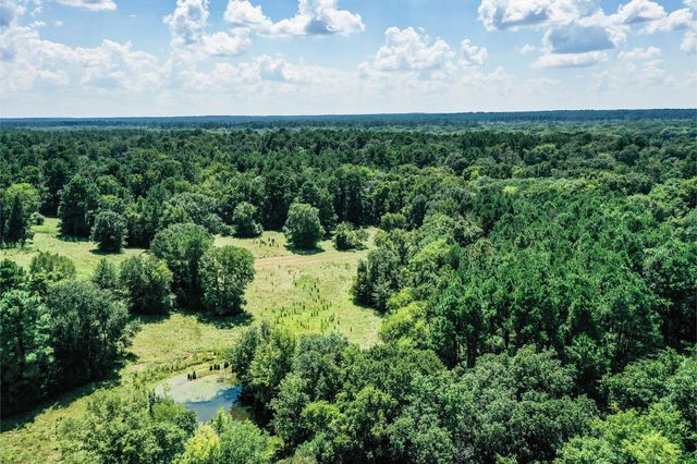 198 Ac Fm 1374, Huntsville, TX 77340