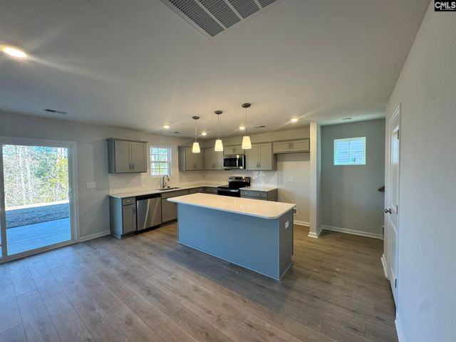 1142 Crescent Corner Dr Drive, Elgin, SC 29045