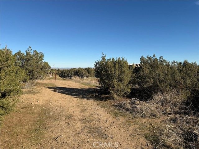 0 Neilson Road, Phelan, CA 92371