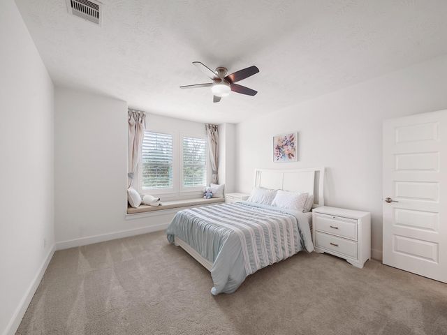 28406 Vineyard Terrace Lane, Fulshear, TX 77441