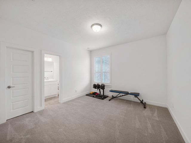 28406 Vineyard Terrace Lane, Fulshear, TX 77441