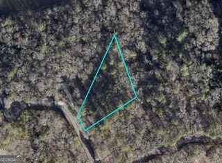 LT941 Myna Drive, Ellijay, GA 30540
