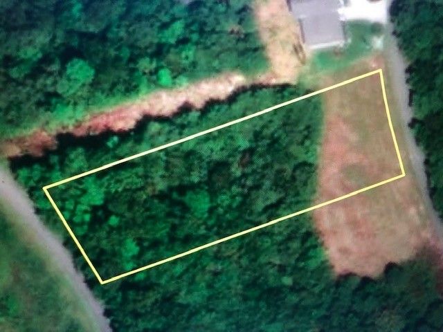 0 Turtle Point Lane, Waverly, TN 37185