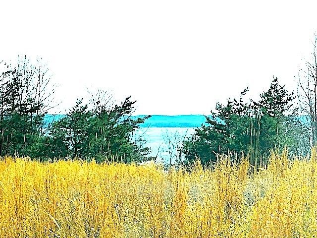 0 Turtle Point Lane, Waverly, TN 37185