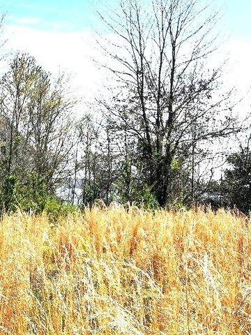 0 Turtle Point Lane, Waverly, TN 37185