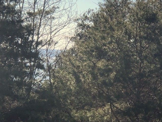 0 Turtle Point Lane, Waverly, TN 37185