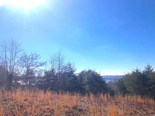 0 Turtle Point Lane, Waverly, TN 37185