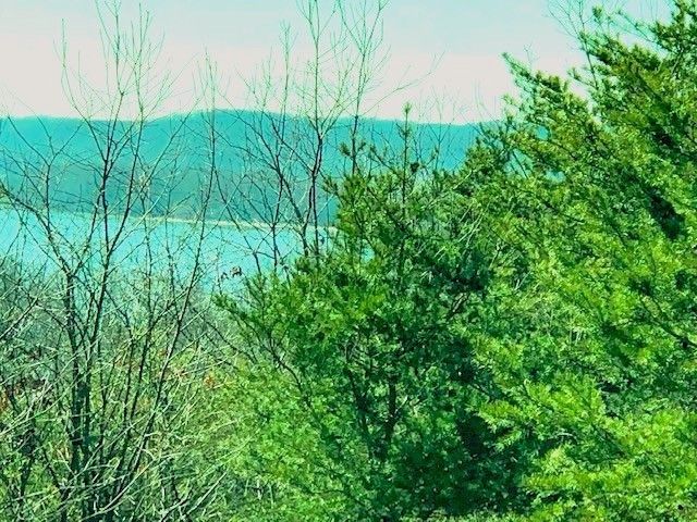 0 Turtle Point Lane, Waverly, TN 37185