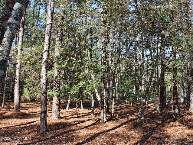 3508 Fairway Crest Drive SW, Shallotte, NC 28470