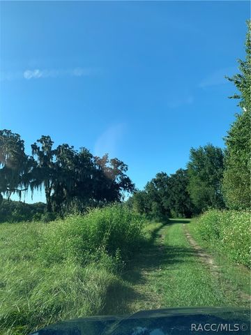 1271 N Florida Avenue, Hernando, FL 34442
