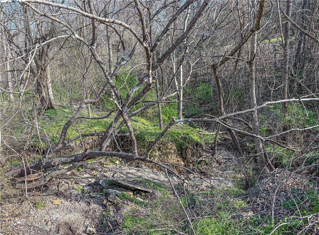 6609 Cottonwood Road, Harrison, AR 72601