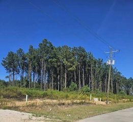 2055 Road 5913, Cleveland, TX 77327