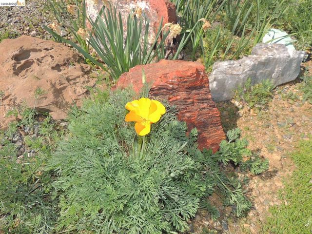 5356 Dogtown Rd, Coulterville, CA 95311