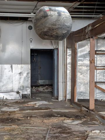 10516 W. Chicago, Detroit, MI 48228