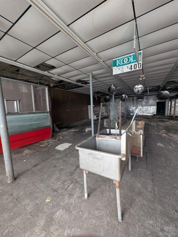 10516 W. Chicago, Detroit, MI 48228