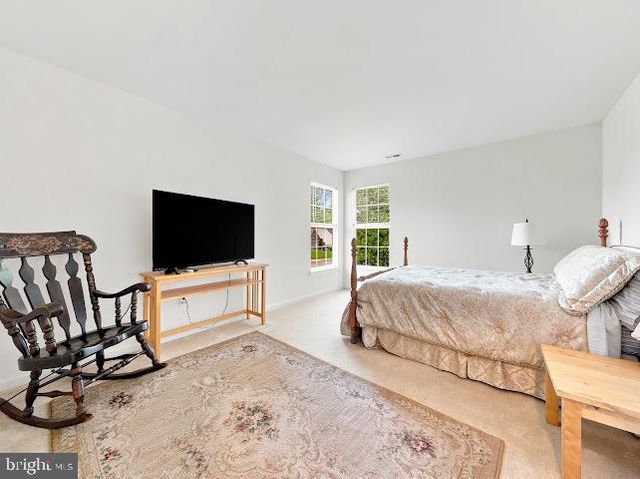 301 DANVILLE DR, Williamstown, NJ 08094