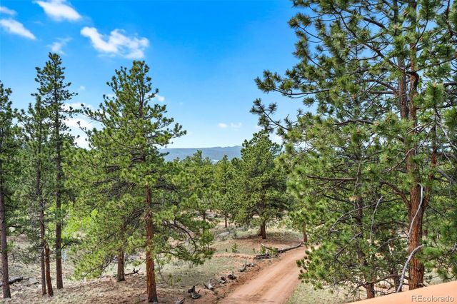 605 Obsidian Drive, Florissant, CO 80816