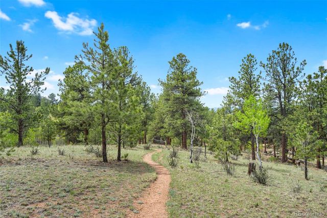 605 Obsidian Drive, Florissant, CO 80816