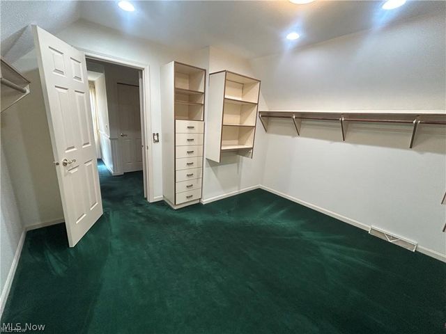 9230 Amber Wood Drive, Kirtland, OH 44094