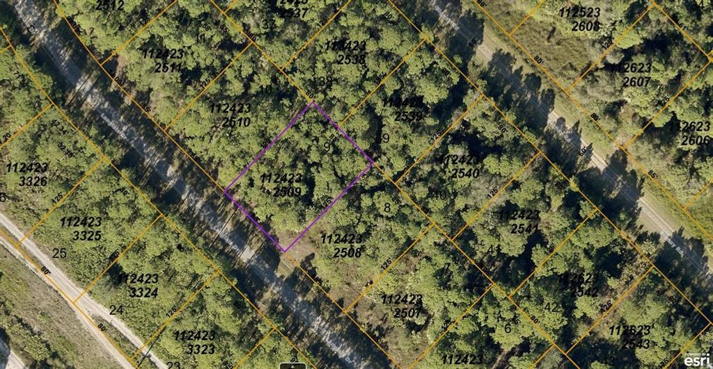 1124232509 LANGLAIS DRIVE, North Port, FL 34288