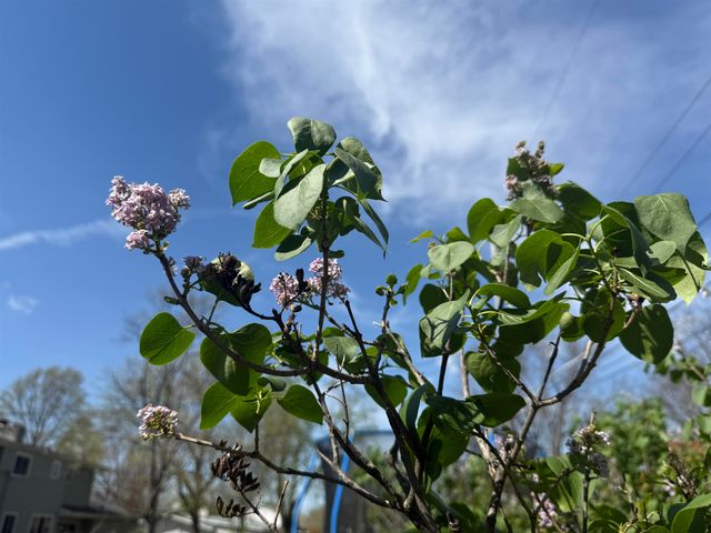 5616 Dartmouth Drive, Fort Wayne, IN 46825