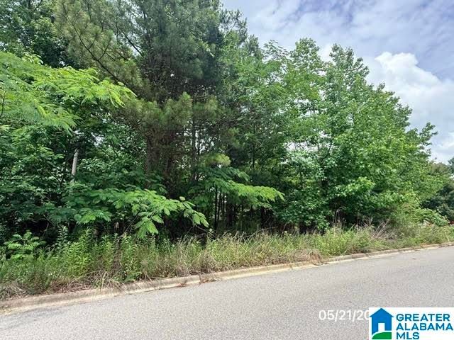 208 MELBOURNE CIRCLE, Birmingham, AL 35022