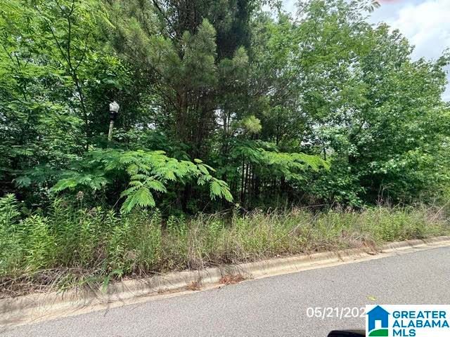 208 MELBOURNE CIRCLE, Birmingham, AL 35022