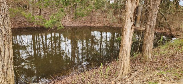 1620 Hwy 50, Centerville, TN 37033