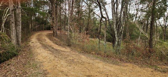 1620 Hwy 50, Centerville, TN 37033