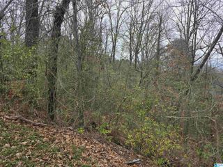 1024 MELODY DRIVE, Birmingham, AL 35214