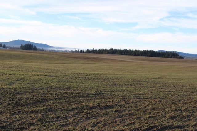 3450X N Spotted Rd, Deer Park, WA 99006