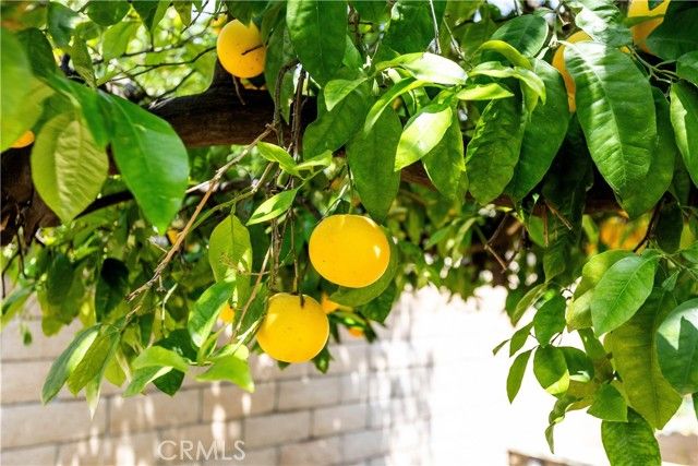 3915 Dwight Way, San Bernardino, CA 92404