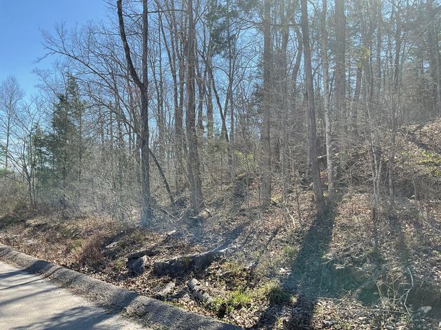 47 Caney Branch Road, Burnside, KY 42519