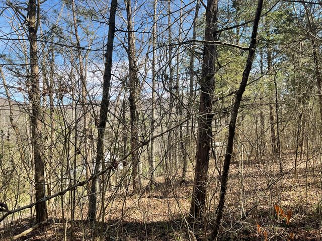 47 Caney Branch Road, Burnside, KY 42519