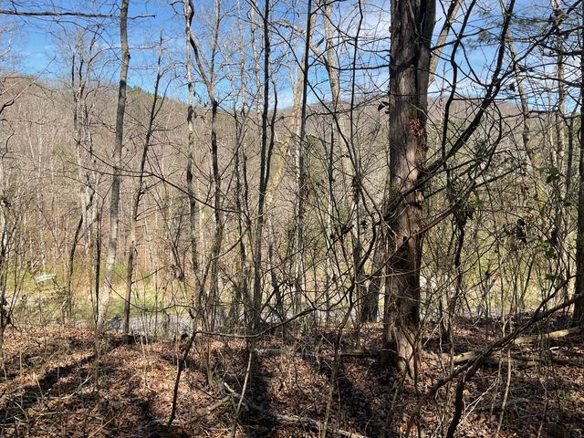 47 Caney Branch Road, Burnside, KY 42519