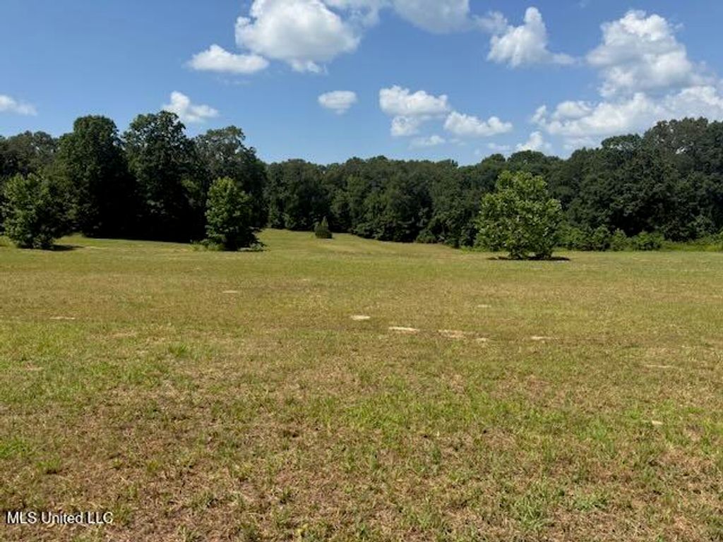 2555 Laws Hill Road, Holly Springs, MS 38635 — photo 2