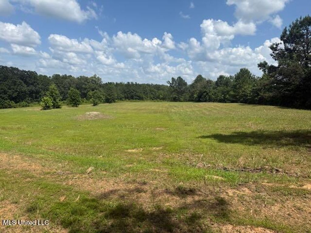 2555 Laws Hill Road, Holly Springs, MS 38635 — photo 3