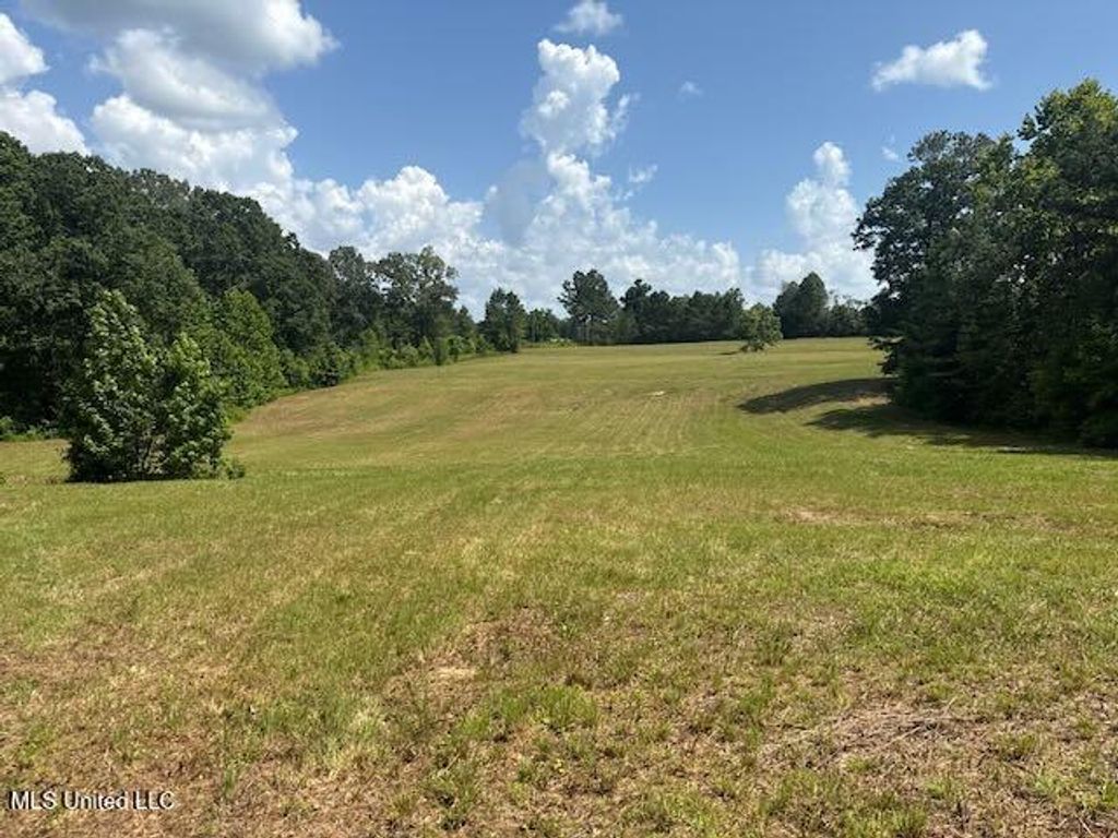 2555 Laws Hill Road, Holly Springs, MS 38635 — photo 5