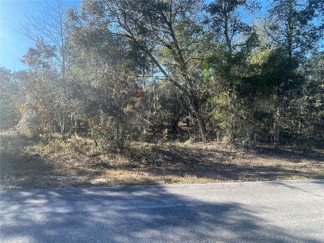 1056 BAMBOO LANE, Dunnellon, FL 34431
